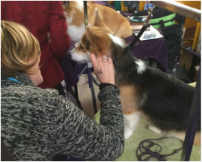 Westminster Dog Show - Katie pets a new friend